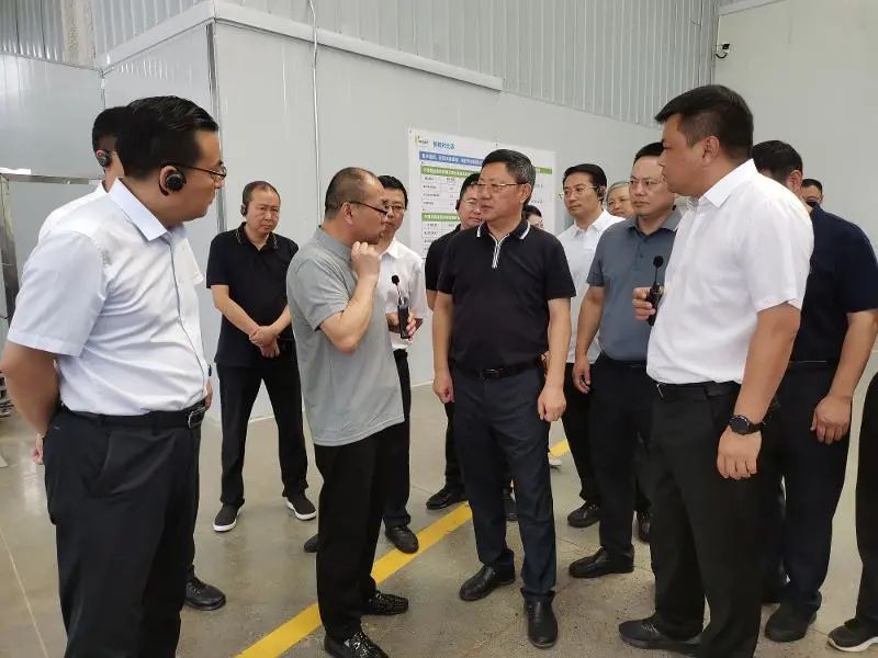 游客听得清、导游讲得顺！无线讲解器升级旅行体验